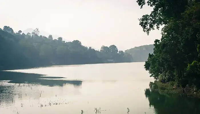 lake spread widely with greenery in the surroundings
