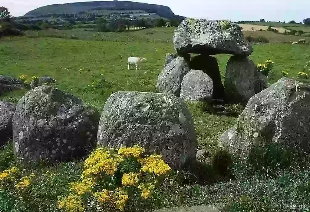 Ancient Rocks In a Field