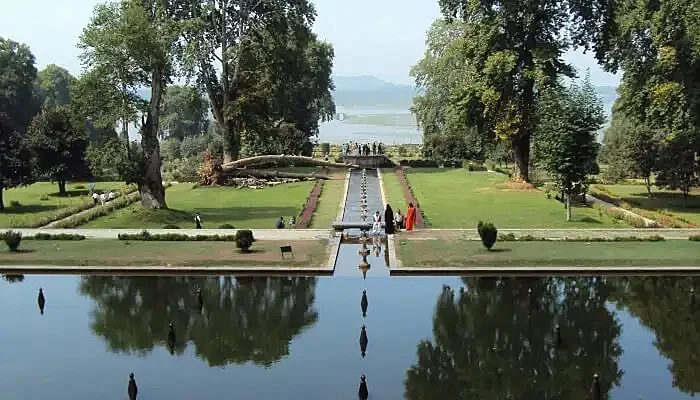 people near a pond in a garden