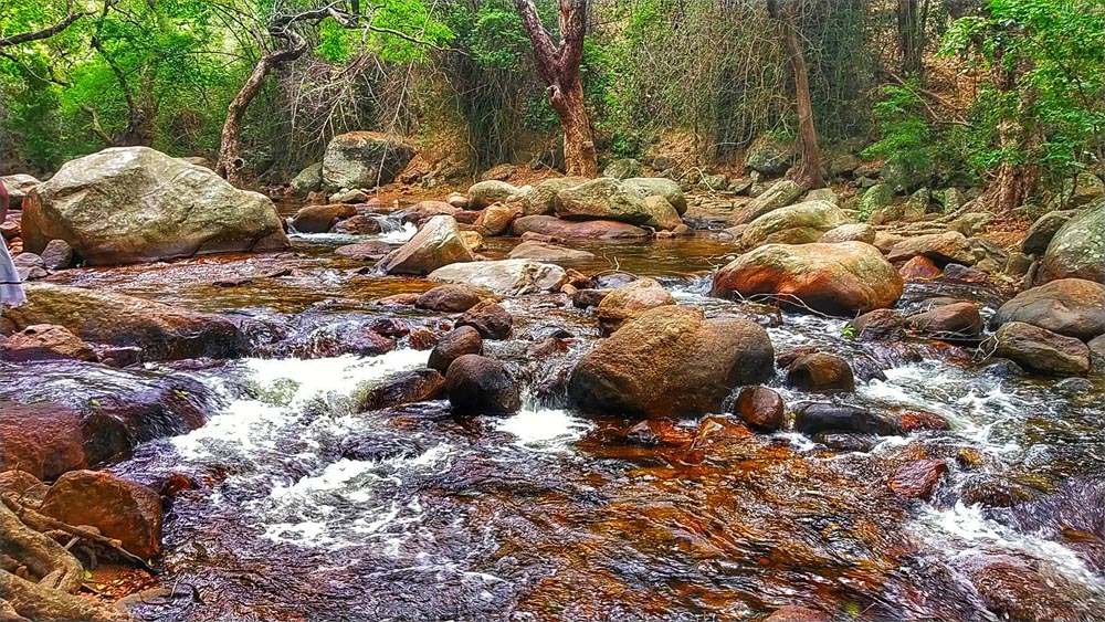 Thalayanai Waterfalls At Kalakad In Tirunelveli